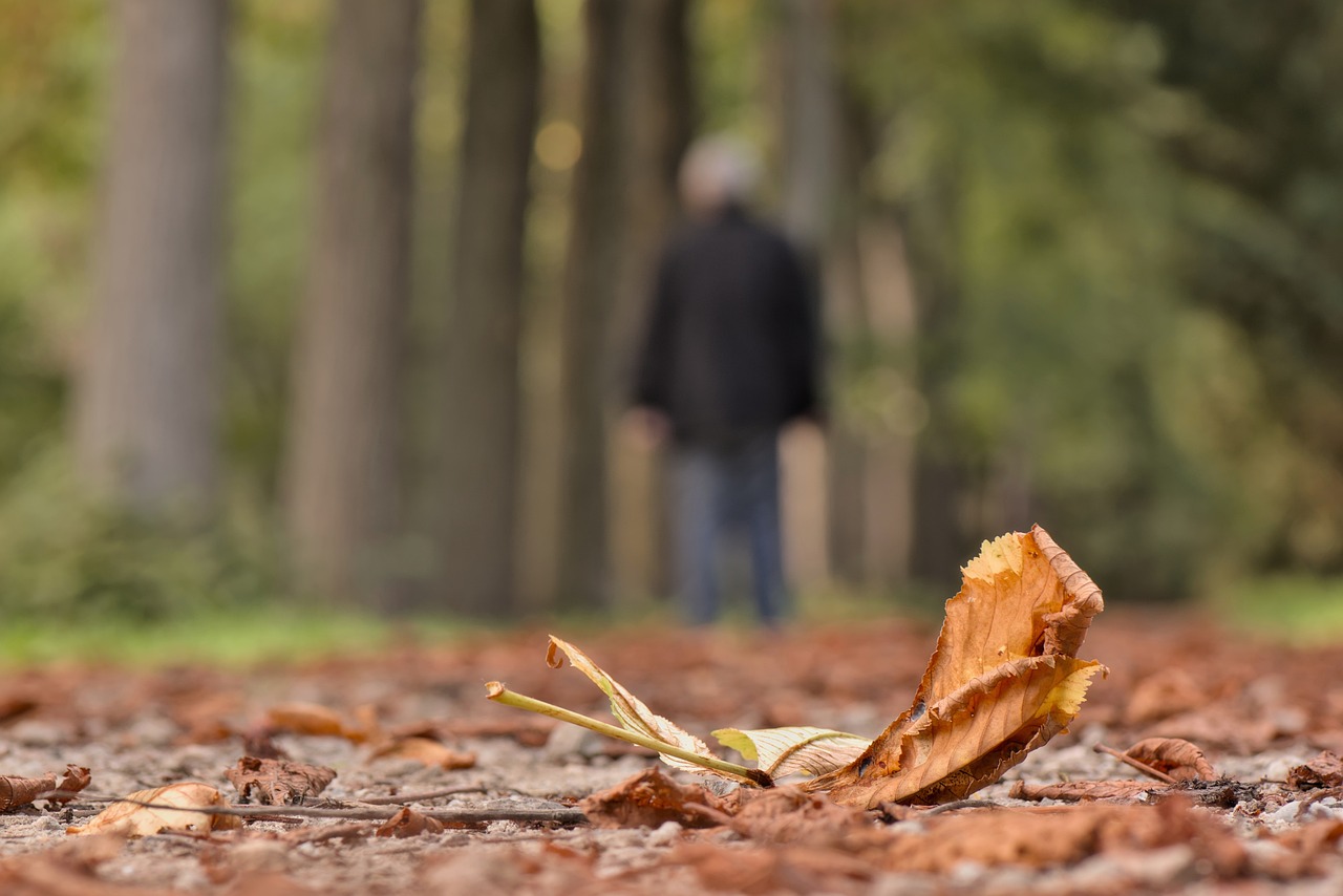 Disaster Recovery: Coping with Loss and Grief